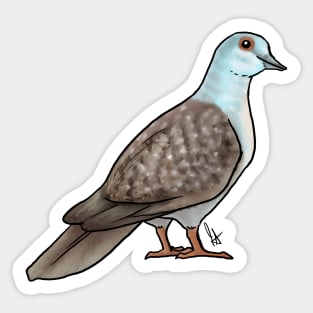 Bird - Dove - Diamond Dove Sticker